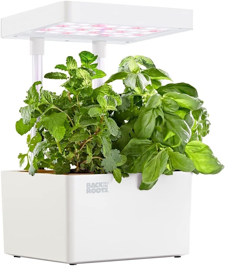 Back to the Roots Hydroponic Grow Kit